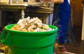 Waste Not: From Commercial Trash to Garden Gold
