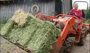 Pat Morford Artisan Cheese on the Farm