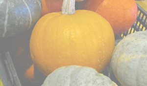 Recipe Poster Image 14