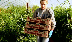 Building a Bridge Farm to School