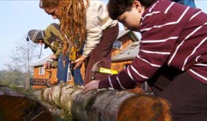 Inoculating a wood log with Elm Oyster