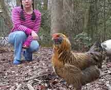 Joya Parsons and Toffee, a Ameraucana pullet; photo courtesy Joya Parsons