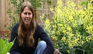 Master Gardener, Jen Aron