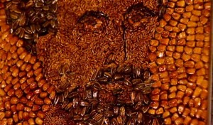 Seed Art
