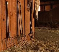 pitch-forks-at-rest