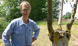 Lon-next-to-grafted-tree-feature-low-res