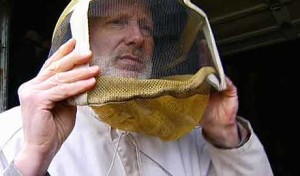 BeekeepingBasicsGettingStarted-feature