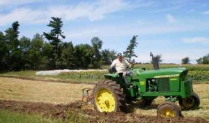 biodiesel-cups-feature