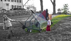 photo courtesy of Front Yard Coop