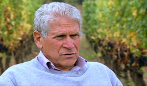 Biodynamic Vineyard