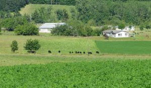The Future Of Small Family Farms