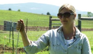 Considering the True Costs of Raising Pigs