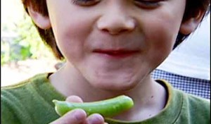 Terroir and Children: Teaching Food Values