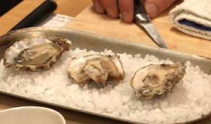 Coming Next: Oysters