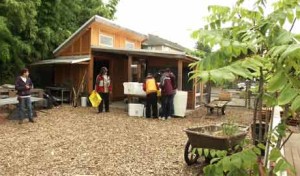 Food.Farmer.Earth Newsletter: Urban Farms