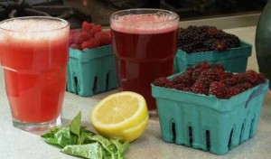 Food.Farmer.Earth Newsletter: Berries