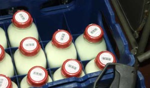 Next Week- Milk