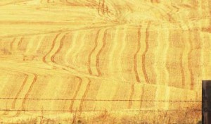 From USDA Secretary Tom Vilsack: A Failure to Communicate
