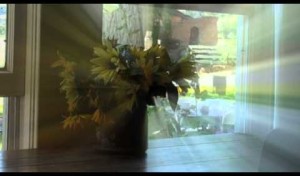Video thumbnail for youtube video Community Digs in to Help Local Farm and Eatery