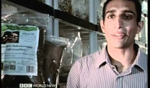 Video thumbnail for youtube video Sustainable Food: Mushrooms Grown from Coffee Grinds