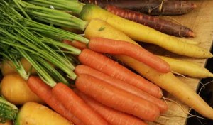 Coming Next: Carrots