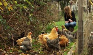 One Restaurateur's View Why Agricultural Sustainability Matters