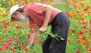 Alan Kapuler, Organic Seed Breeder, scientist