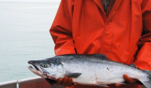 Video thumbnail for vimeo video Copper River Salmon In Cordova, Alaska