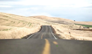 Growing Quinoa in the Pacific Northwest