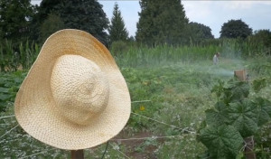 Mercy Corp Northwest-Helping Refuges Transition to Society Through Agriculture