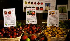 Culinary Breeding Network: Variety Showcase