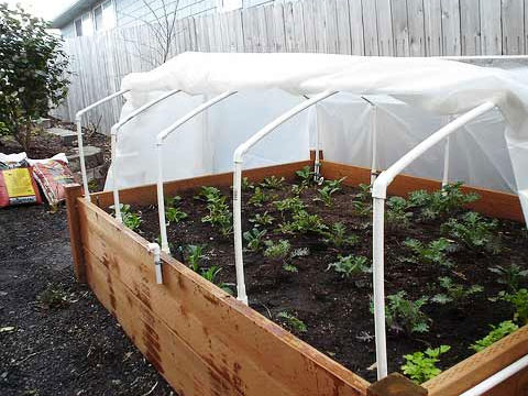 How to Make A Cold Frame for a Raised Garden Bed