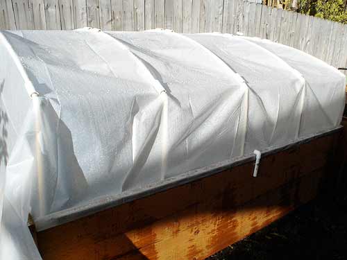 covered cold frame for growing vegetables outside in the winter months