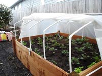 Build Your Own Cold Frame
