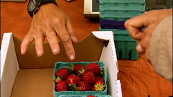 fresh seasonal strawberries at the local farmers market