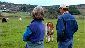 As the Jongles look on, their animals graze on the pasture grass