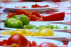 tons of tasty tomatoes at the portland, oregon tomato festival