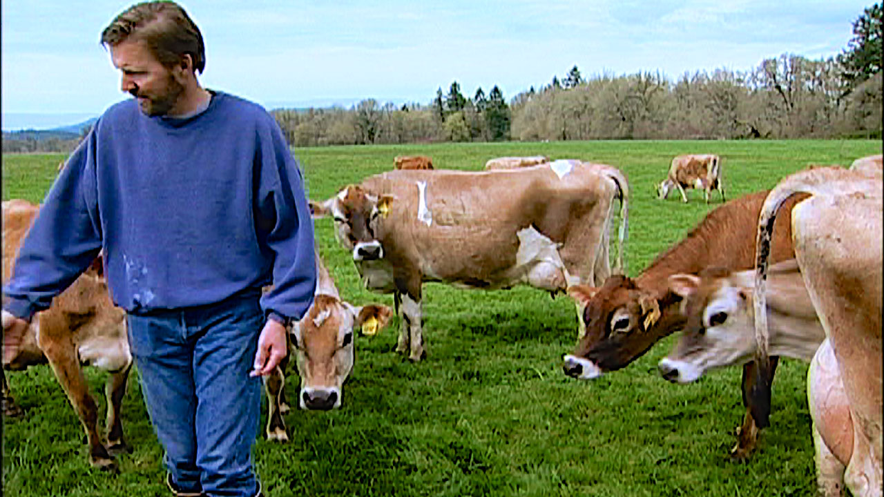 Organic Dairyman: Director's Cut