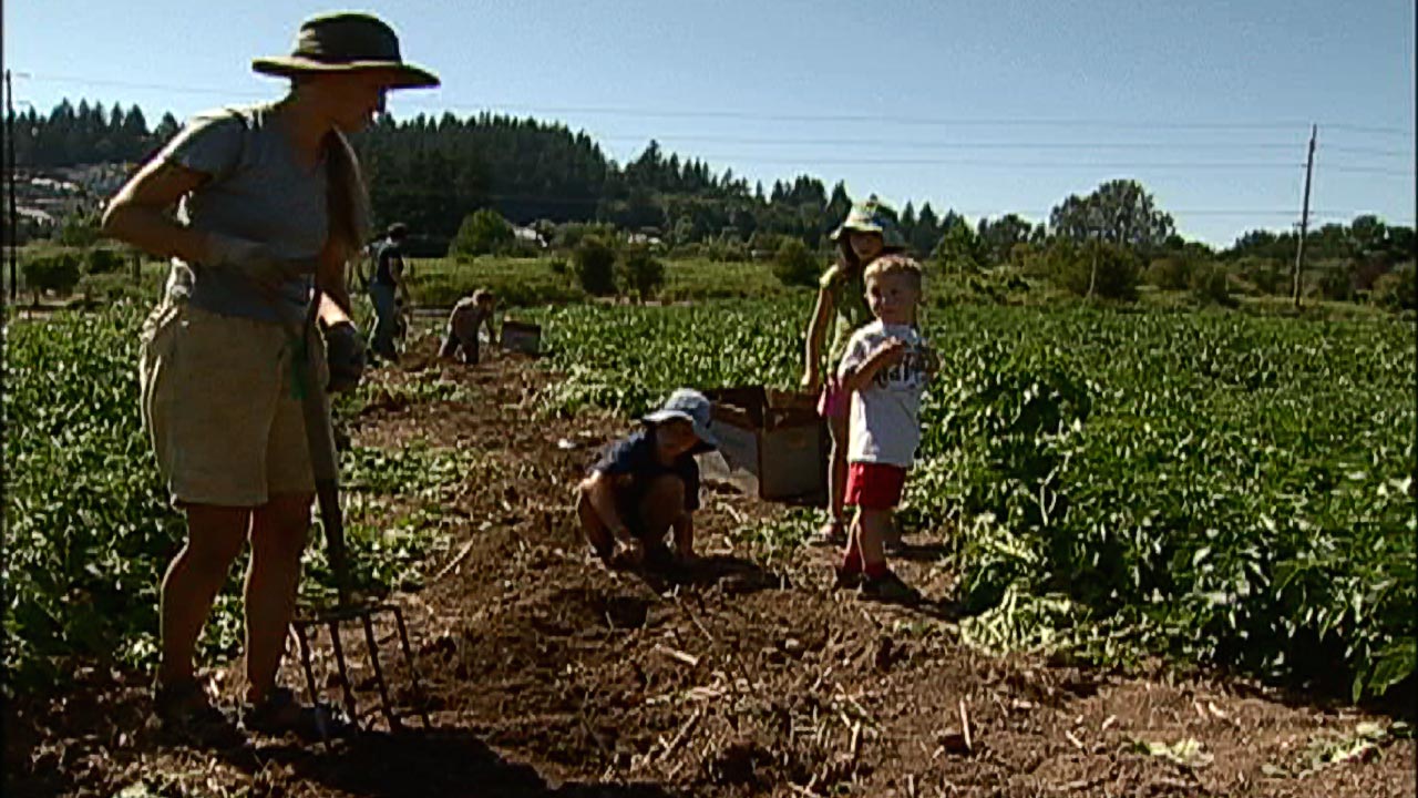 Community Supported Agriculture Work Party (video)