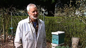 Glen Andresen, Portland, Oregon Beekeeper