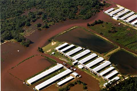 Concentrated Animal Feeding Operations—CAFO's-Dan Imhoff Speaks Out