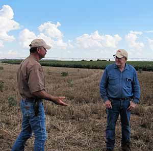 TAWC project manager, Rick-Kellison, talks to dry-land farmer Keith Phillips