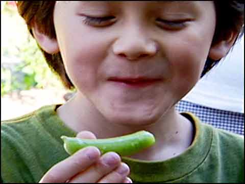 Terroir and Children: Teaching Food Values