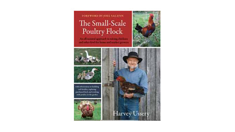 The Small Scale Poultry Flock - Book Review - Cooking Up a Story