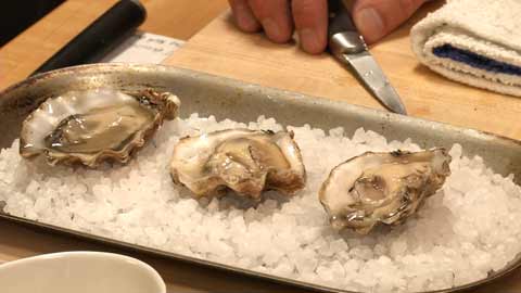 Coming Next: Oysters