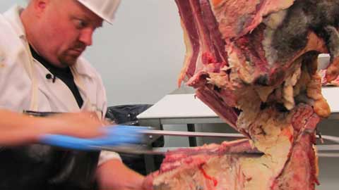 Next Week: Artisan Butcher and Charcuterie