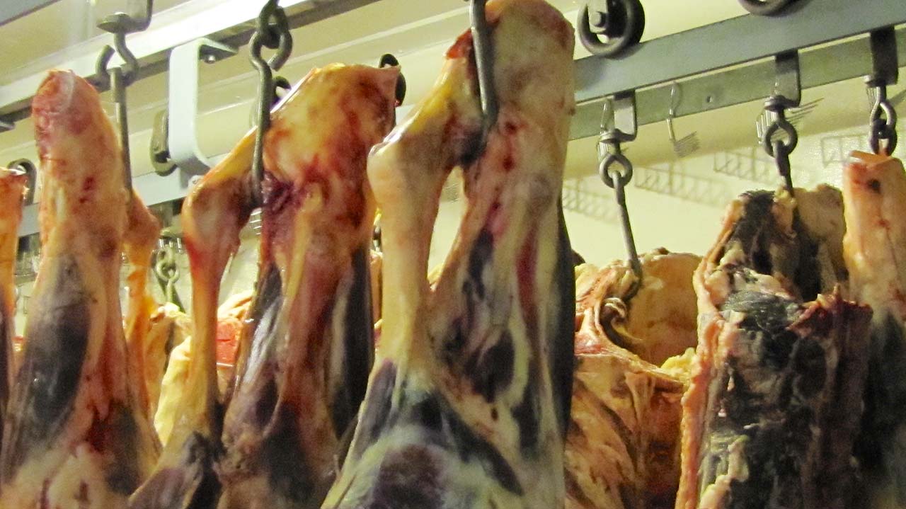 Full Transparency in the Meat Buying Process (video)