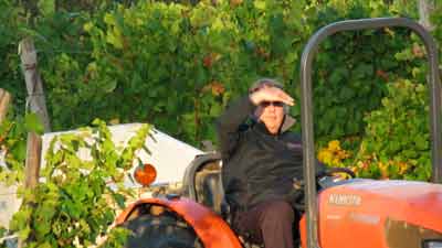 Resonance Vineyards Grower Kevin Chambers On His Tractor
