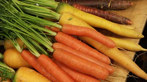 Coming Next: Carrots