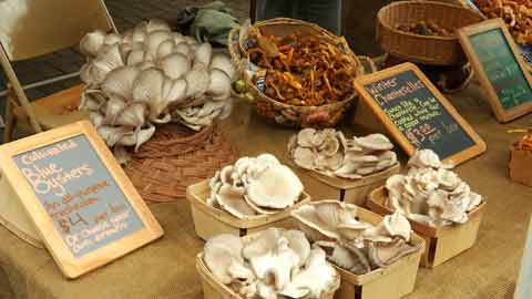 Coming Next: Wild and Cultivated Mushrooms